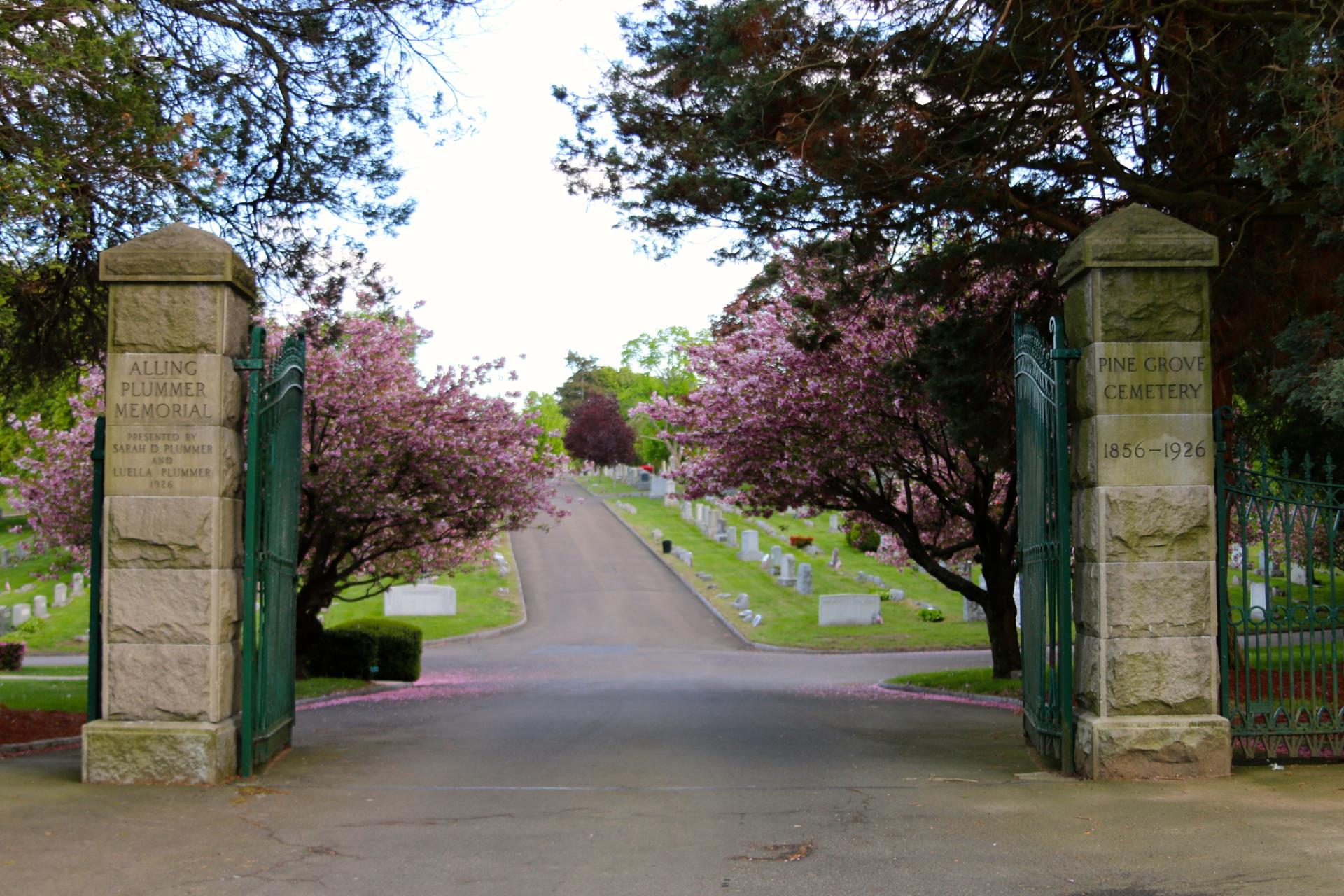Home Pine Grove Cemetery