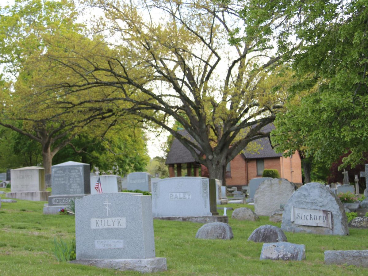 Burial Options Pine Grove Cemetery